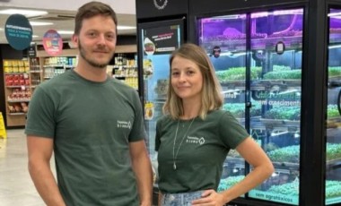 Casal  começou a plantar microverdes no quarto e hoje produz até 1.850 bandejas por semana, fatura R$ 50 mil e prepara expansão