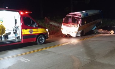 Queda de pinheiro interdita SC-305 e provoca acidente com micro-ônibus