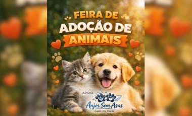 Quer adotar um cãozinho ou gatinho? Feirinha acontece neste sábado