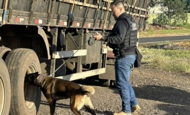 Operação FARO intensifica fiscalização e combate ao crime no Oeste catarinense com apoio de cães policiais