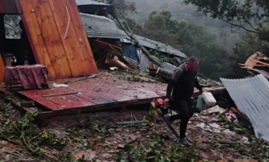 Árvore cai sobre residência durante temporal