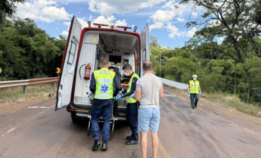 Caminhão carregado com vacas tomba na BR-282; um homem fica ferido