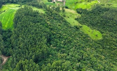 Governo abre inscrições para programa que paga agricultores por preservação ambiental