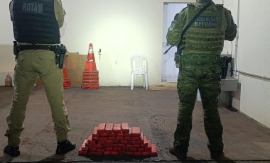 Cães farejadores ajudam polícia a apreender mais de 26 kg de maconha em ônibus