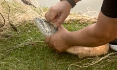 Pesca ilegal no Lago Municipal gera nota de repúdio da Administração