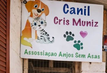 ONG Anjos Sem Asas recebe R$ 100 mil para castração de animais