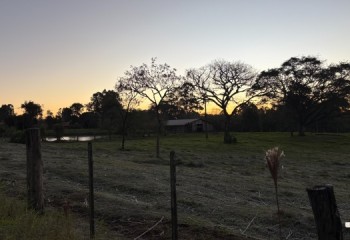Outono 2026 começa nesta semana, mas frio deve demorar a chegar ao Brasil