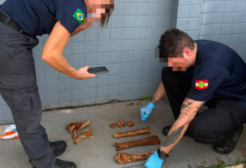Ossada encontrada em Pinhalzinho não era humana, esclarece Polícia Civil