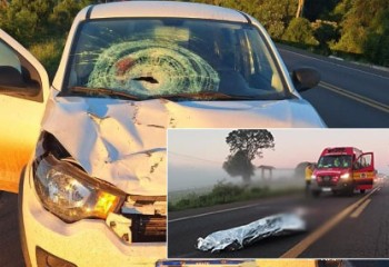 Homem de 53 anos morre após ser atropelado na BR-282