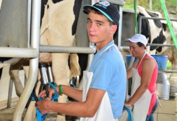 Curso para jovens impulsiona a produção de leite à base de pasto no Oeste Catarinense