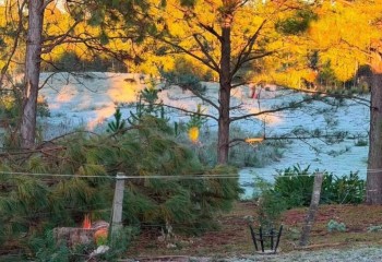 Primeira grande geada do inverno transforma paisagem na Tri-Fronteira nesta quarta-feira (24)