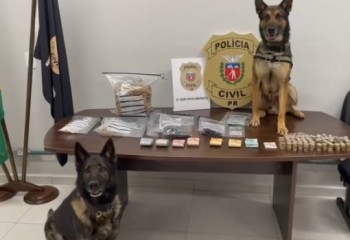 Polícia apreende drogas e armas durante mandados de busca em investigação que apura homicídio