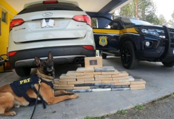 PRF apreende 54,9 kg de cocaína escondidos em veículo