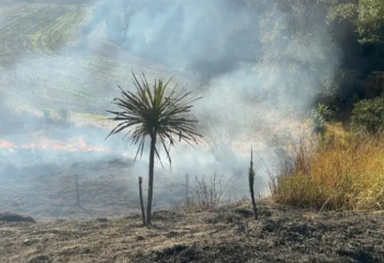Incêndio atinge mata às margens da rodovia entre Marmeleiro e Flor da Serra do Sul