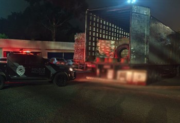 Carreta com quase 19 mil produtos é apreendida e prejuízo ao crime passa de R$ 482 mil