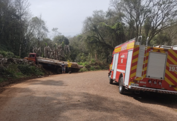 Motorista fica ferido após caminhão sair da pista e colidir