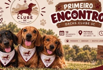 Primeiro encontro de Dachshunds reúne tutores e cães