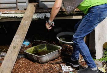 Secretaria da Saúde confirma mais três óbitos por dengue no Paraná