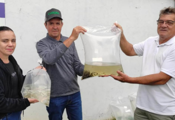 Município entrega mais de 14 mil alevinos a produtores rurais