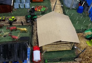 Feira Regional de Ciência e Tecnologia começa nesta terça