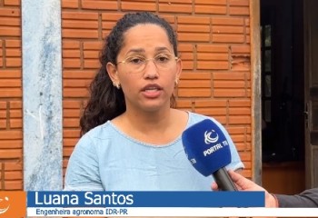 IDR Paraná promove eventos técnicos sobre cultivo de morango e bioinsumos