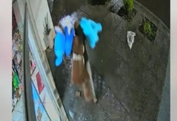Loja de presentes é arrombada e tem mercadorias furtadas