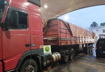 BPFRON apreende carreta carregada com oliveiras em passo clandestino