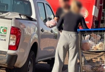 Vigilância Sanitária e Cidasc apreendem mais de 300 kg de produtos impróprios em supermercado