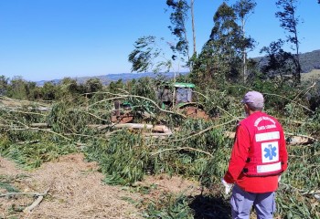 Idoso morre atingido por árvore no interior