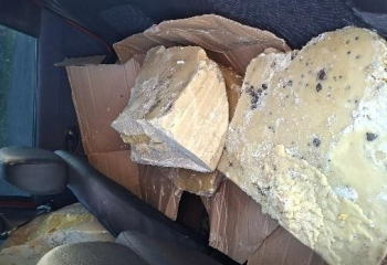 PM apreende 130 quilos de cera de abelha sem procedência na BR-163