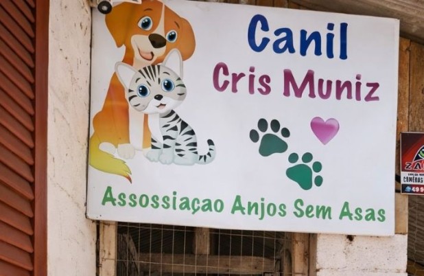 ONG Anjos Sem Asas recebe R$ 100 mil para castração de animais