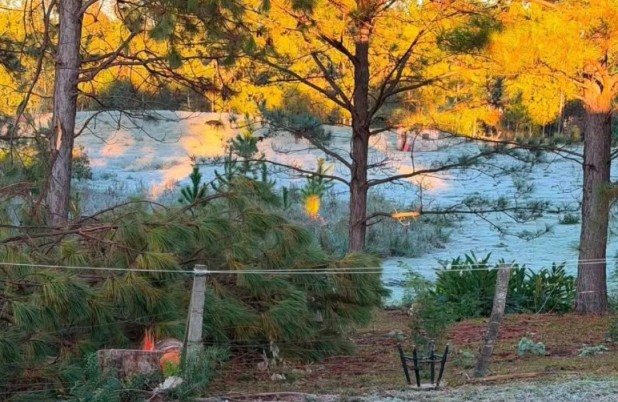 Primeira grande geada do inverno transforma paisagem na Tri-Fronteira nesta quarta-feira (24)