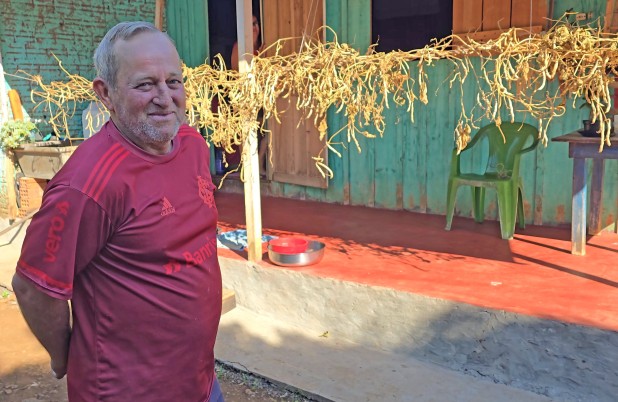 De conto infantil à vida real: “pé de feijão gigante” chama atenção no Distrito São José