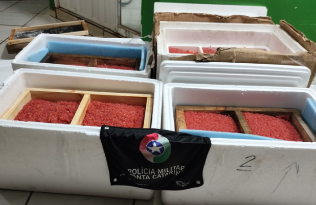Polícia Militar apreende 32,5 kg de ova de salmão
