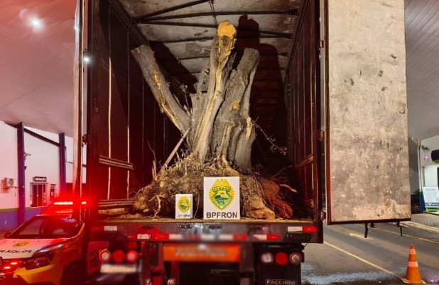 Carreta com árvores de oliveira avaliadas em R$ 1,1 milhão é apreendida na fronteira entre Brasil e Argentina