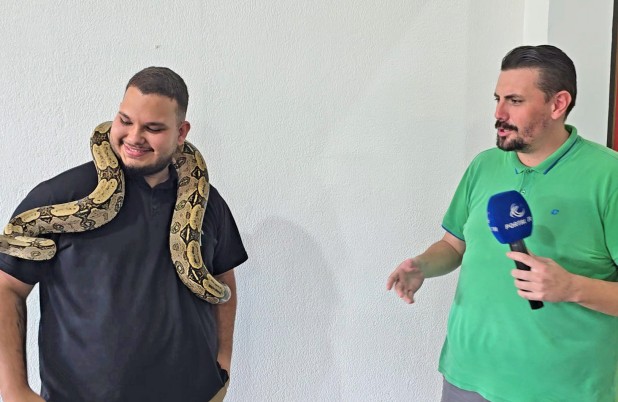 Cerqueirense mantém jiboia como animal de estimação há cinco anos e desperta curiosidade