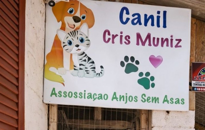 ONG Anjos Sem Asas recebe R$ 100 mil para castração de animais