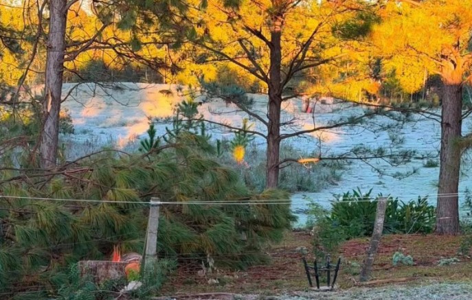 Primeira grande geada do inverno transforma paisagem na Tri-Fronteira nesta quarta-feira (24)