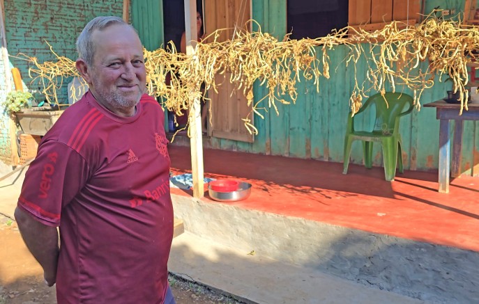 De conto infantil à vida real: “pé de feijão gigante” chama atenção no Distrito São José