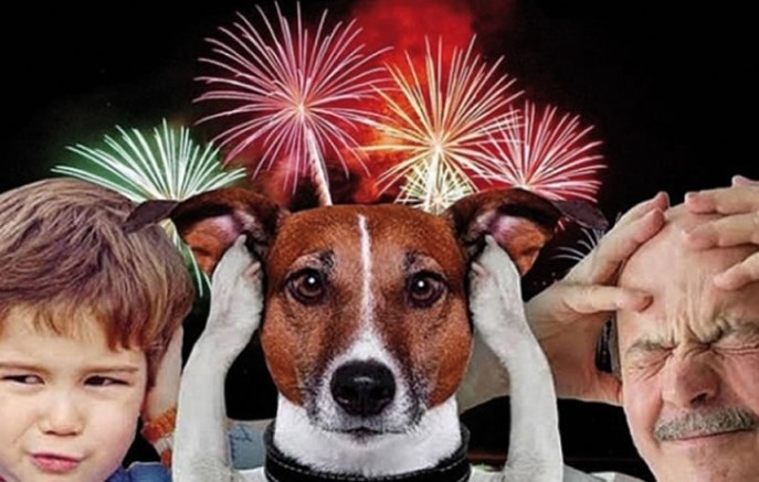 SC proíbe venda de fogos com estampido e dá 180 dias para comércio se adequar