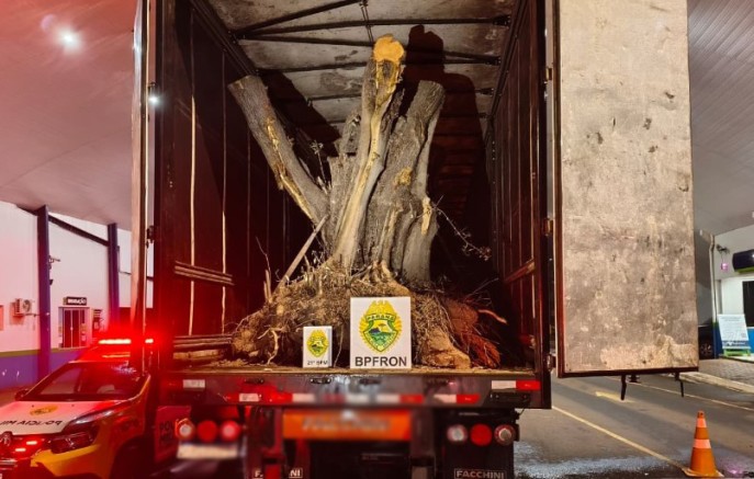 Carreta com árvores de oliveira avaliadas em R$ 1,1 milhão é apreendida na fronteira entre Brasil e Argentina