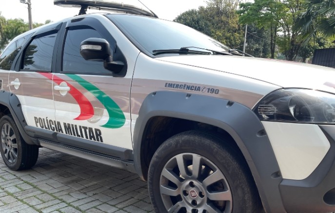 Cães invadem casa e matam galinhas no bairro Salete