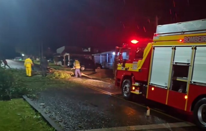 Queda de árvore e granizo mobilizam equipes na madrugada em Dionísio Cerqueira e Barracão