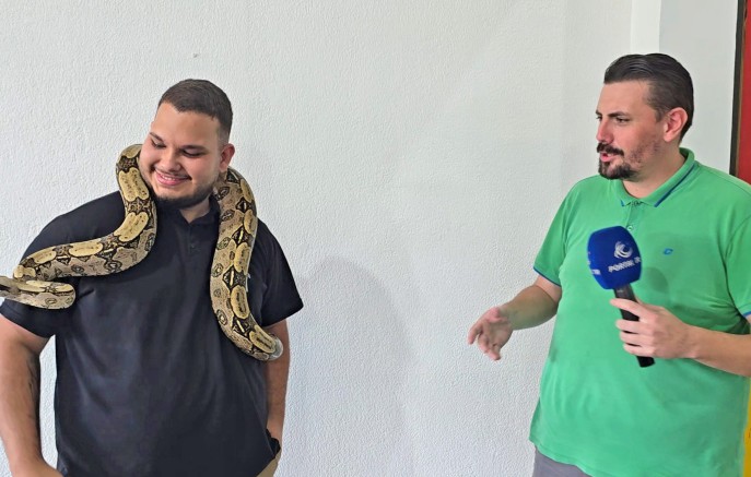 Cerqueirense mantém jiboia como animal de estimação há cinco anos e desperta curiosidade
