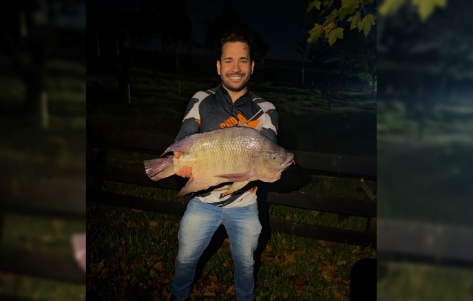 Impressionante: tilápia de mais de 7 kg é capturada e viraliza entre amigos