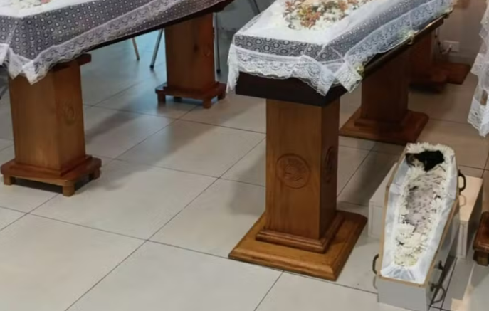 Pai, filhas e cachorrinha morrem em acidente e são velados lado a lado em Mato Grosso do Sul