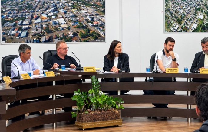 Projetos buscam fortalecer atuação do Conselho Municipal dos Direitos da Mulher