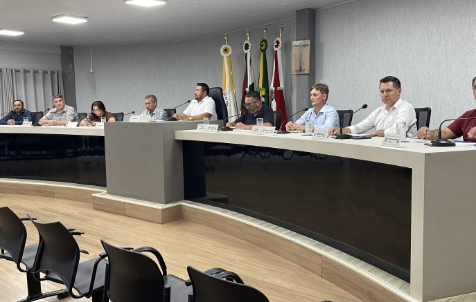 Câmara de Vereadores apresenta projetos e vice-presidente pede renúncia da mesa diretora
