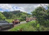 PARANÁ - Colisão frontal entre HR-V e carreta deixa mulher e duas crianças mortas na BR-163