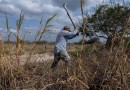 Mudanças climáticas afetam saúde de 70% dos trabalhadores no mundo